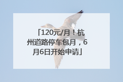 120元/月！杭州道路停车包月，6月6日开始申请